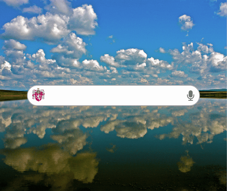 Search Bar deep and wide